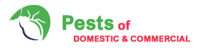 Pests of London Ltd
