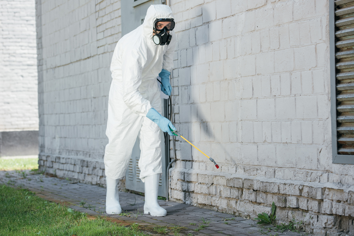 Pest Control
