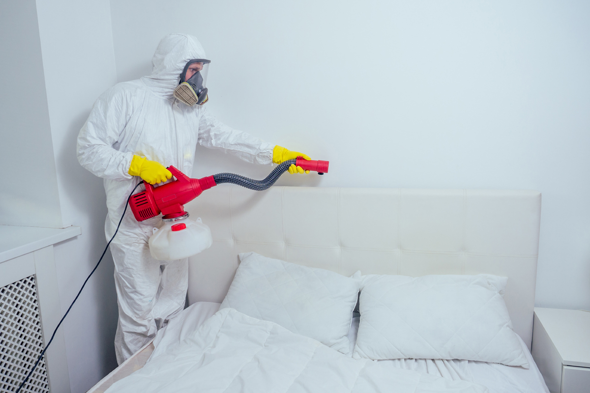 Fleas Pest Control London