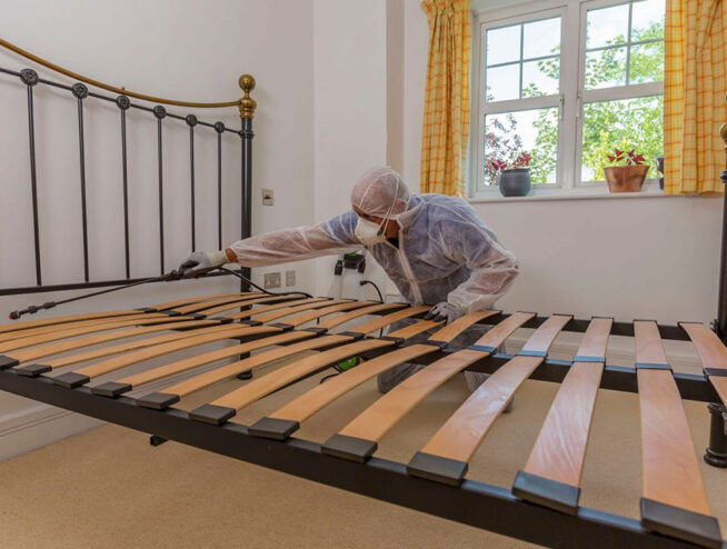 Bed Bug Treatment